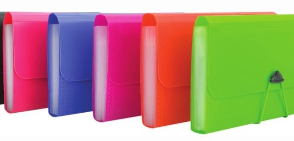 ACORDEON CHEQUE 13 DIVISIONES