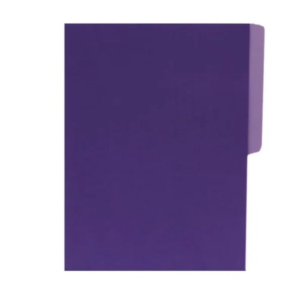 FOLDER T/CARTA MORADO