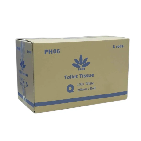 PAPEL HIGIENICO 6X250 SICLEAN